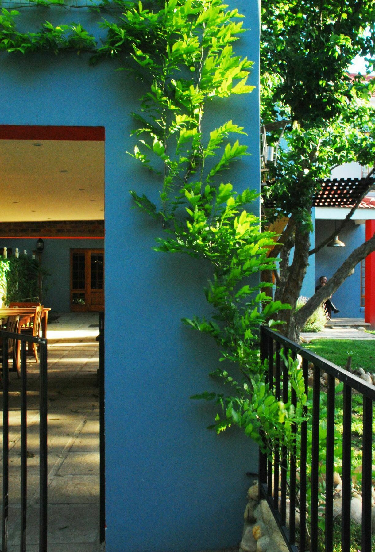 House Of House Guest House Stellenbosch Exterior foto